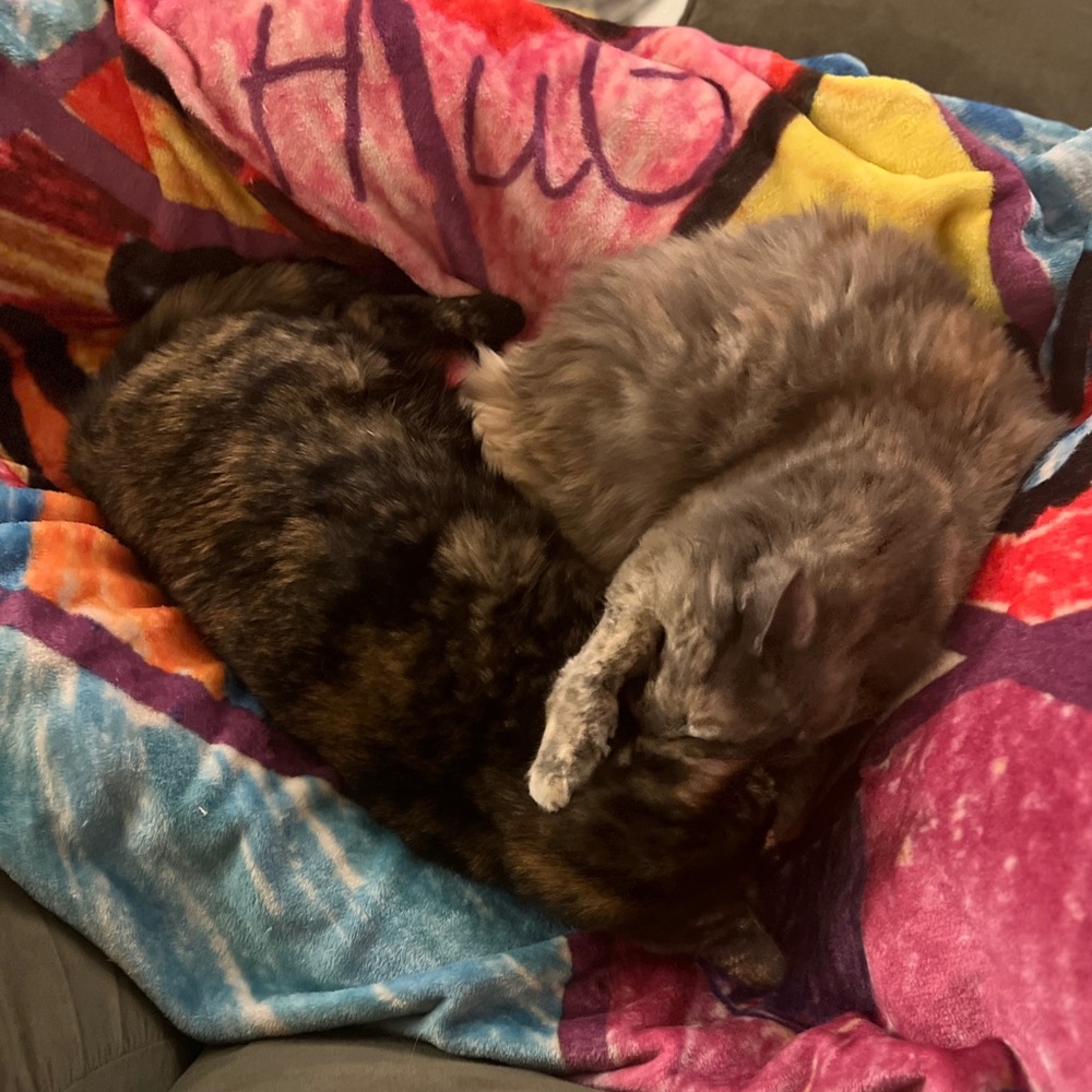 Meet your Posher, Wendy